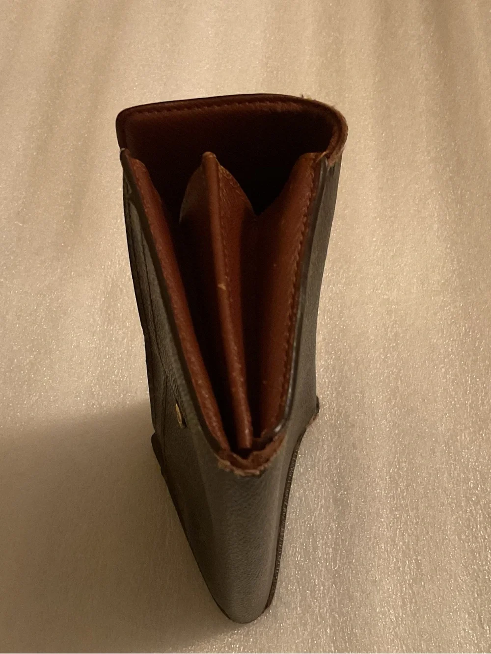 Louis Vuitton authentic louis